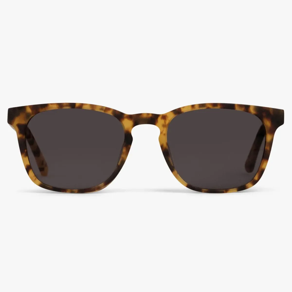 Luxreaders Solbriller Til Mænd<Men's Bornholm Light Turtle